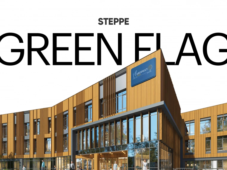 Green flag в образовании: что делает школу идеальным местом для развития?