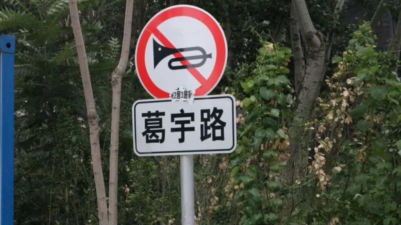 В Китае художник назвал безымянную улицу в честь себя