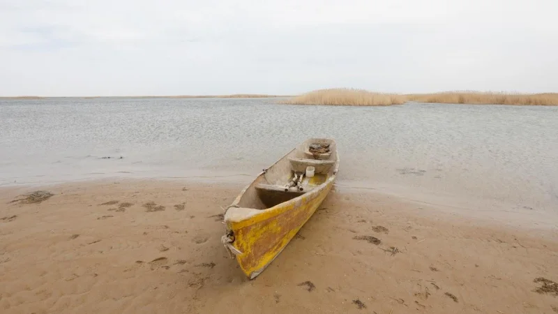 Как спасают северную часть Аральского моря