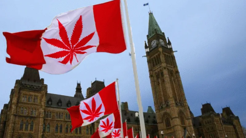Канада легализует марихуану