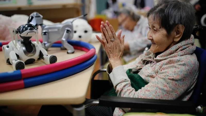 Роботы помогают персоналу ухаживать за пожилыми в японских домах престарелых