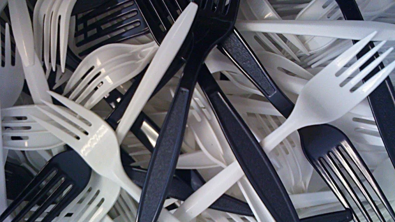 Франция отказалась от одноразовой пластиковой посуды