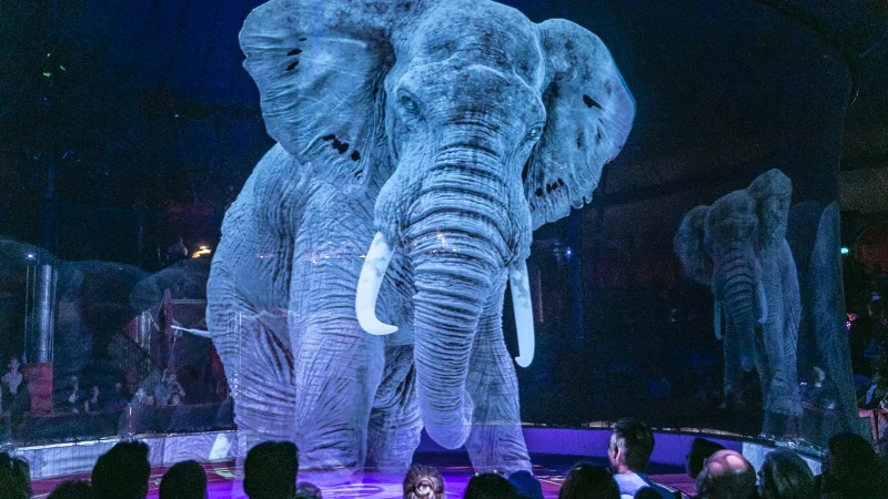 Немецкий цирк заменил животных голограммами
