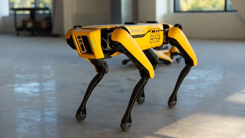 Робособака Spot Boston Dynamics пасёт овец в Новой Зеландии