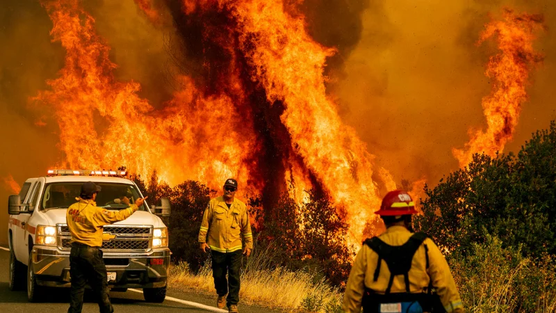 Исследователи из Мичигана придумали, как предотвратить лесные пожары
