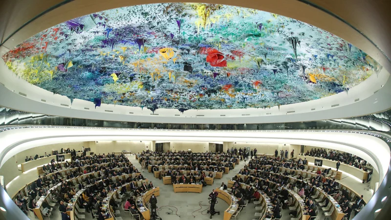 Россия вновь стала членом Совета ООН по правам человека