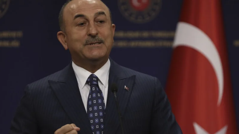 Министры Турции и Швеции вступили в словесную перепалку на пресс-конференции