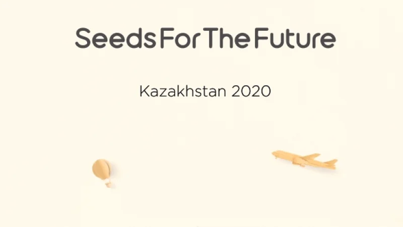 Seeds for the Future: как компания Huawei поддерживает таланты