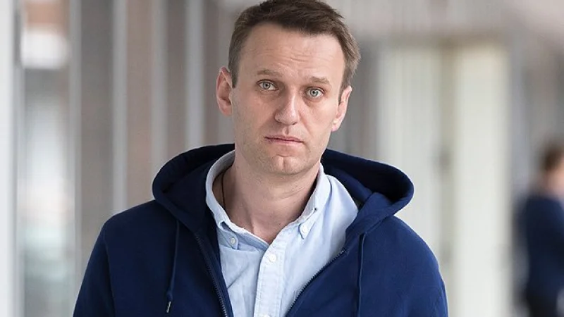 Организация по запрещению химического оружия не подтвердила отравления Навального «Новичком»