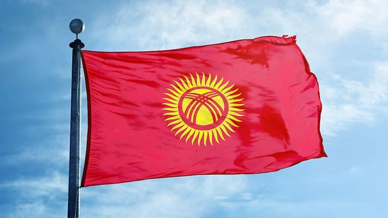 Кого из кандидатов на пост президента Кыргызстана допустили к выборам?