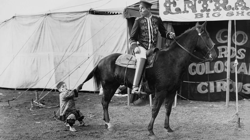 Цирк Шымкента откажется от номеров с участием животных
