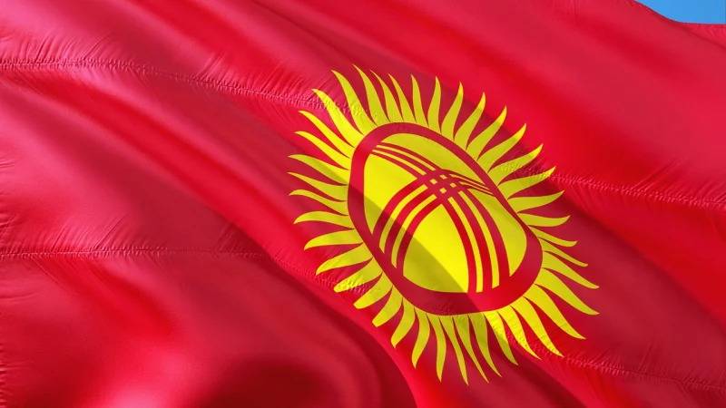 За 2020 год в Кыргызстане заведено 210 дел по факту «кражи девушек»