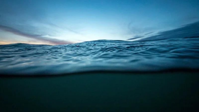Специалисты National Geographic признали существование пятого океана — Южного
