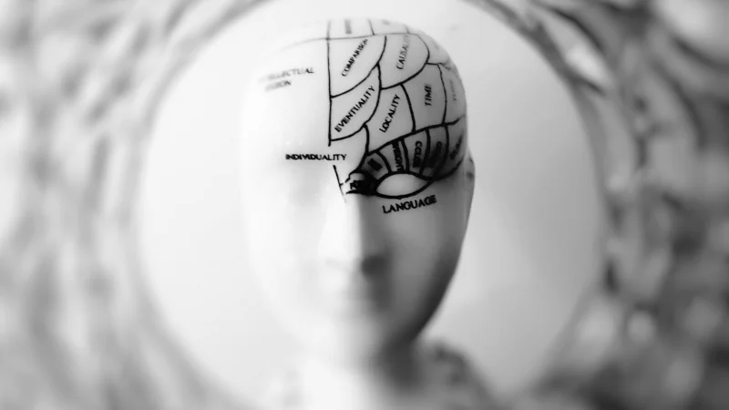 Ученые создали искусственную модель мозга человека 