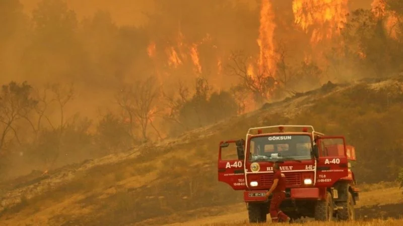 Из-за лесных пожаров в Турции погибло три человека