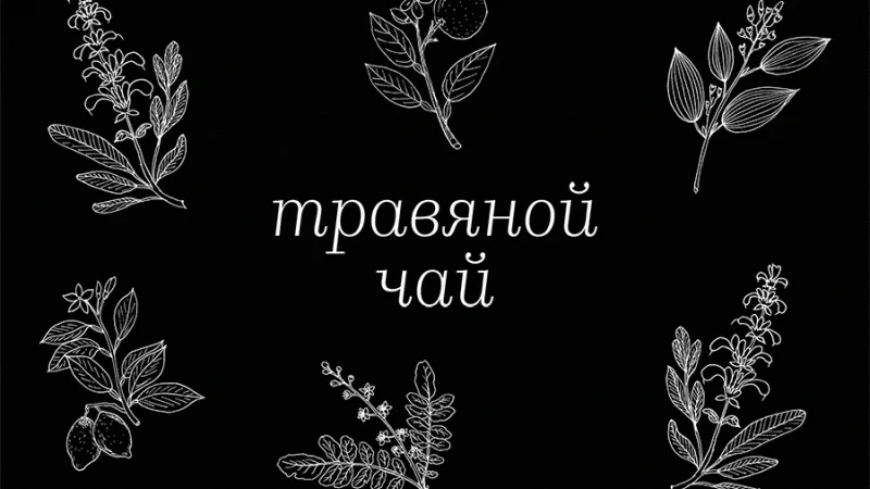 Как правильно собирать и заваривать травяной чай