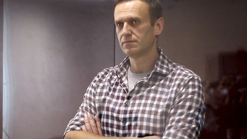 Материал по расследованию отравления Алексея Навального получил премию «Эмми»