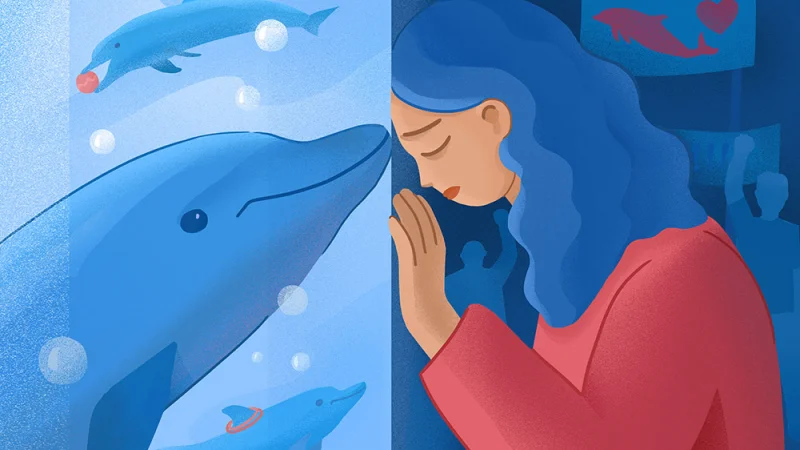 Как я спасаю дельфинов: история активистки Камили Тюлебаевой