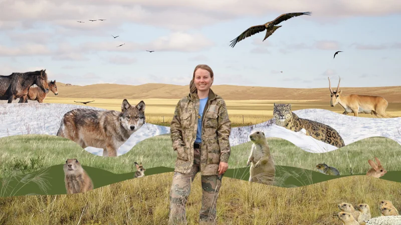 Почему в городах нужны ястребы и зайцы, а в степи — волки: интервью с зоологом Аленой Кошкиной