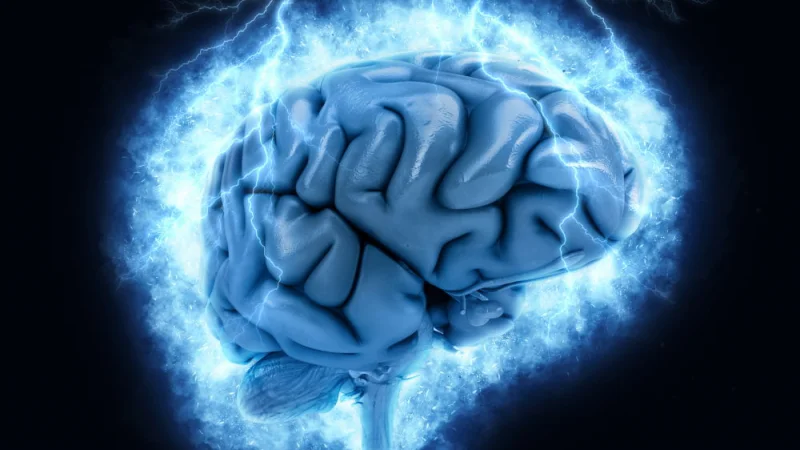 Исследование: что происходит с мозгом во время смерти?