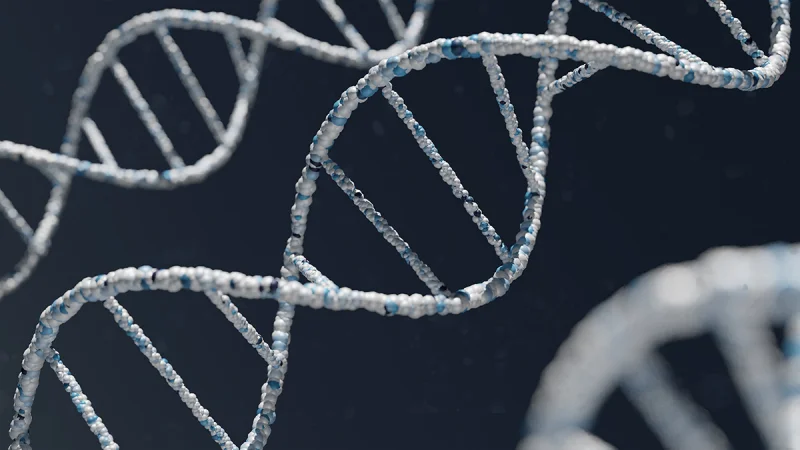 Биологи создали тест, способный определить до 50 редких генетических заболеваний