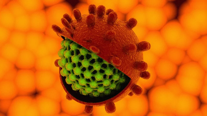 Глобальная вспышка неизвестного гепатита начала распространяться в Азии и Канаде