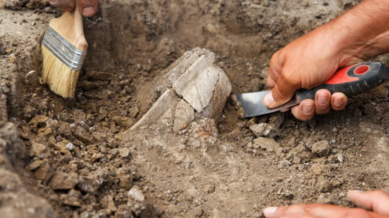Археологи из Павлодара обнаружили новые курганы