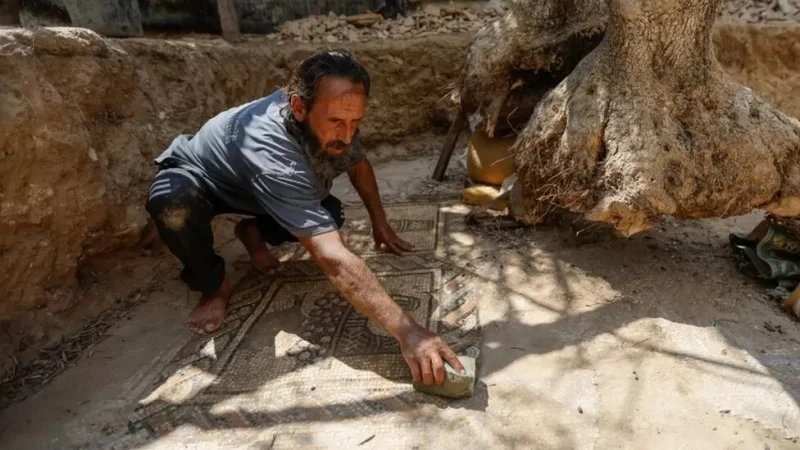 Палестинский фермер обнаружил византийскую мозаику во время высадки деревьев