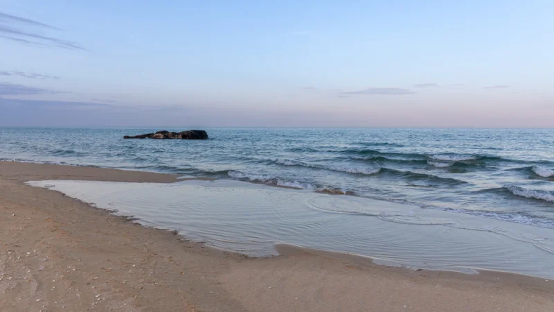 В Каспийском море с каждым годом снижается уровень воды