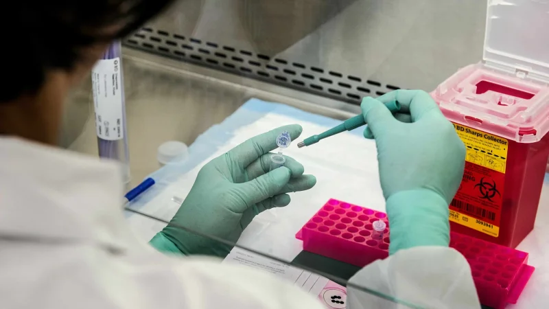 Выращенные в лаборатории эритроциты могут стать спасением для больных раком или анемией