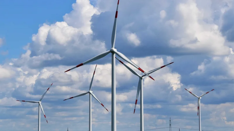 Французская компания Total Energies построит ветряную электростанцию на юго-востоке Казахстана