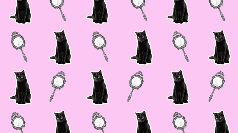 Черные кошки, разбитые зеркала и рассыпанная соль: как различать приметы и ОКР