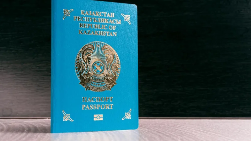 Этническим казахам, реализовавшим бизнес-кейсы за рубежом, будут предоставлять льготную визу