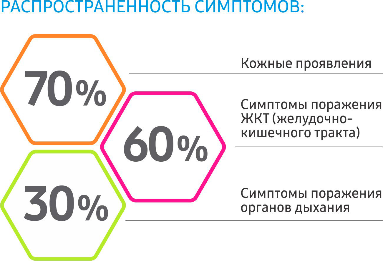 инфографика 