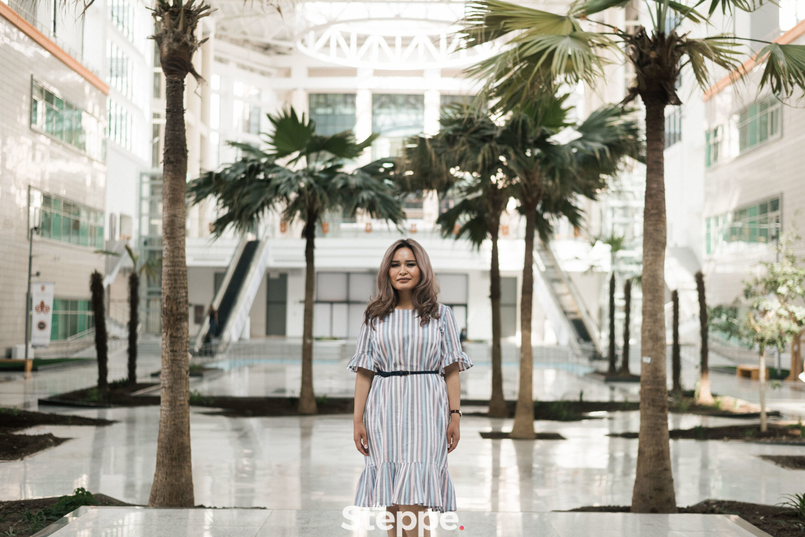 Жыртқыш киска GIF суреттері