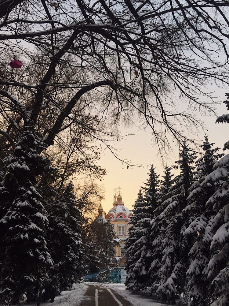 вознесенский собор