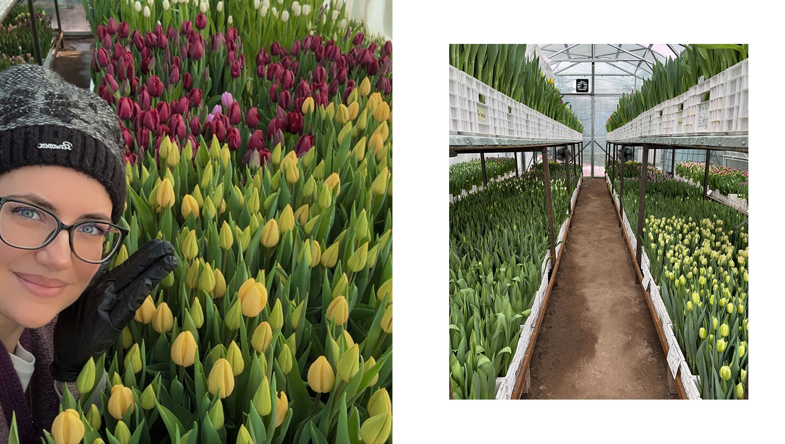 выбор профессии. истории женщин. карьера женщин. профессии в Казахстане. женщины в сельском хозяйстве. агрономия. цветочная ферма. PR и коммуникации. карьерный путь. профессиональное развитие