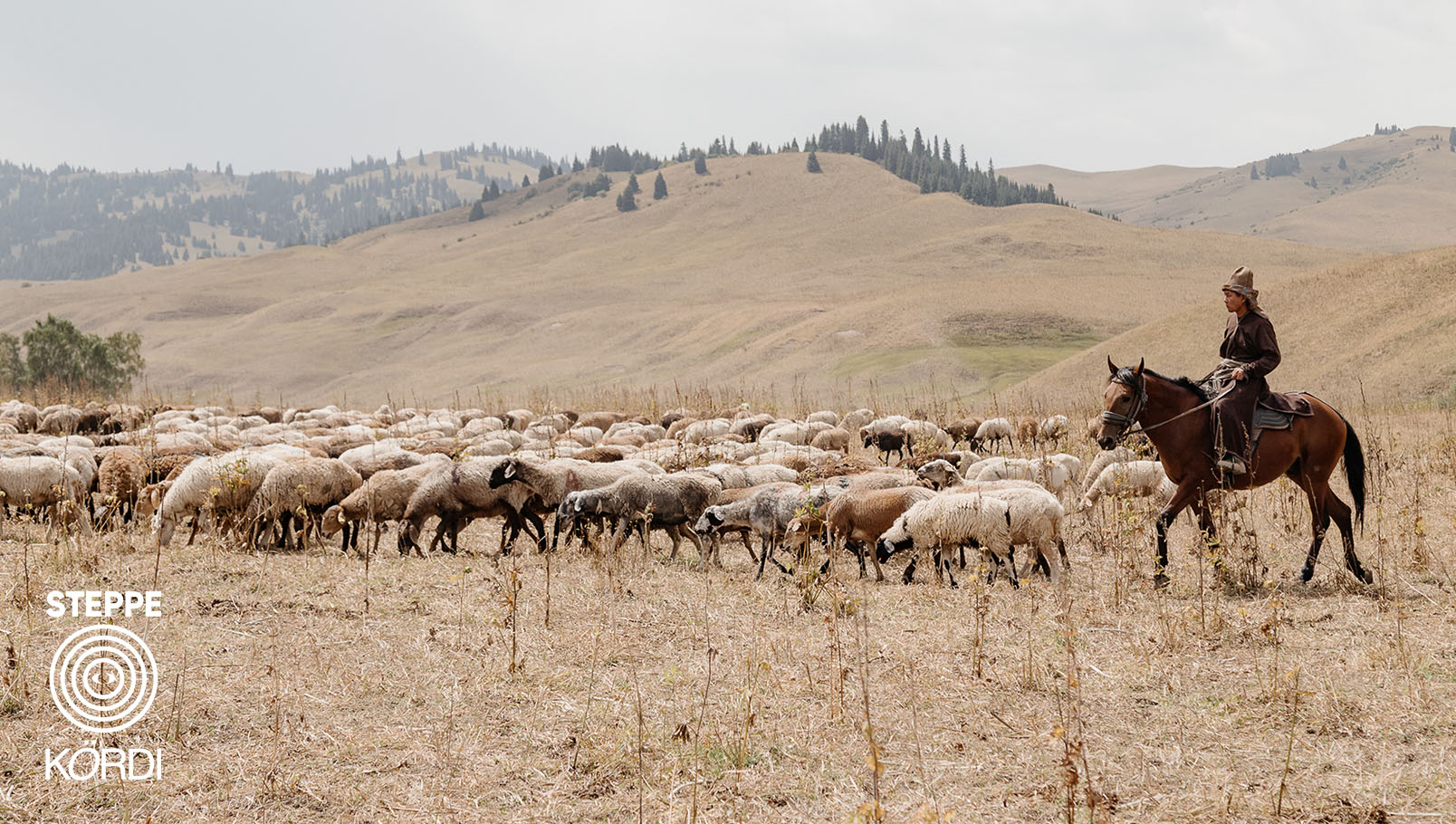 Алдар Көсе фильм. Даурен Сергазин. казахстанское кино. казахский фольклор. новый казахстанский фильм. кино Казахстан 2026. национальные герои кино. казахские фильмы. кино премьера Казахстан. Aldar Kose