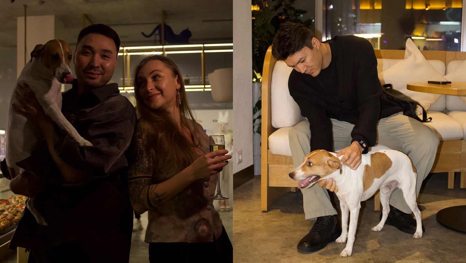 кофейни Алматы. Алматы кафе. животные. кафе с животными. бpet-friendly кафе. 