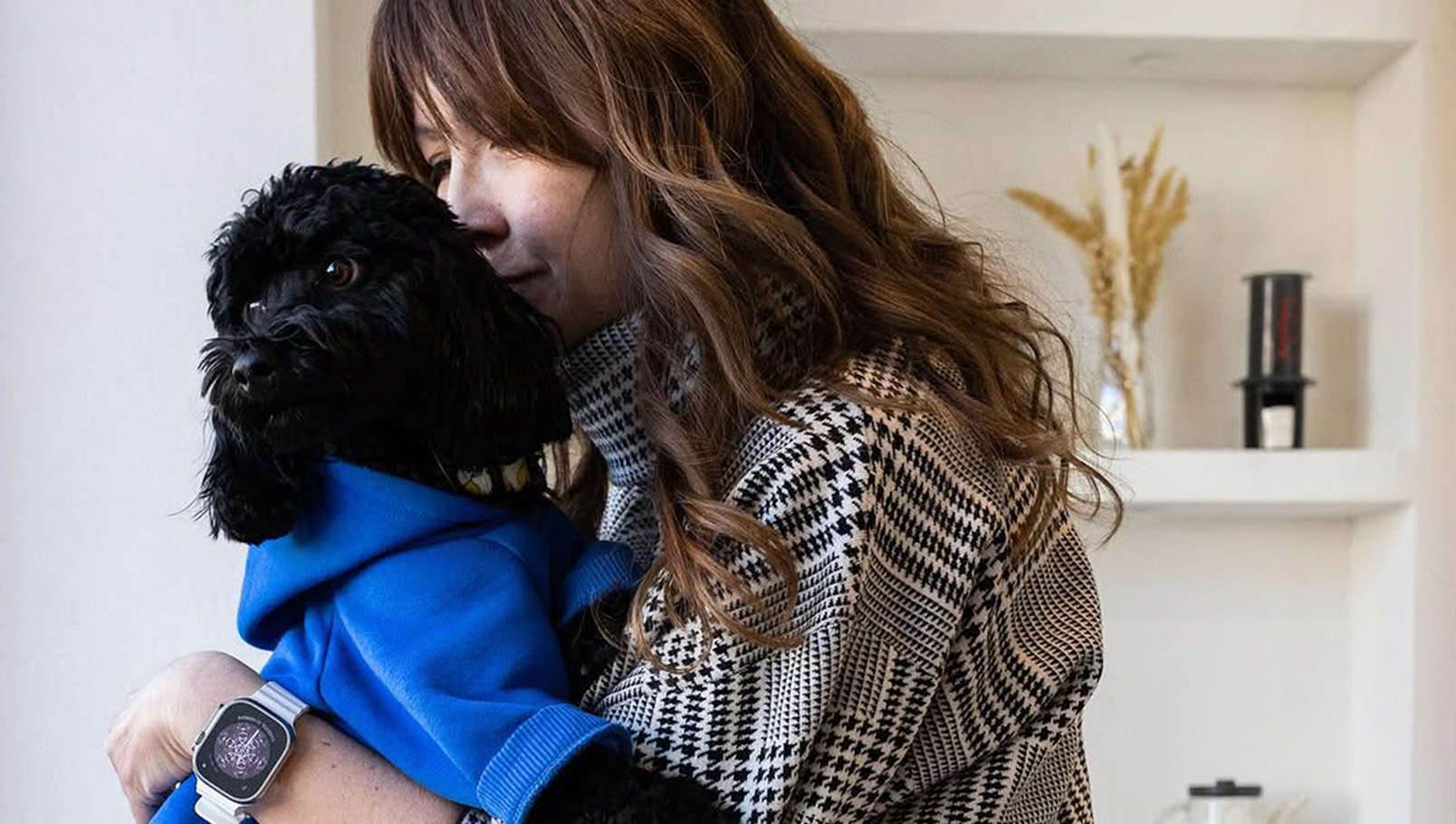 кофейни Алматы. Алматы кафе. животные. кафе с животными. бpet-friendly кафе. 